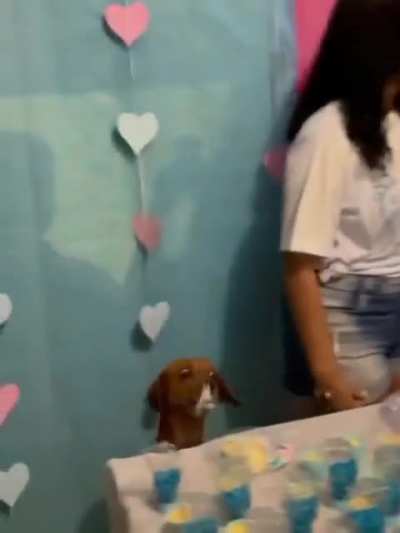 Hmmmm