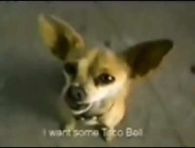 yo quiero taco bell