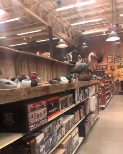To be a good hunter