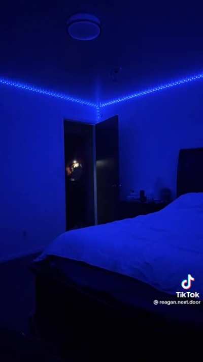 @reagan.next.door