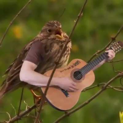 Birds with arms behave like humans. Watch with sound!