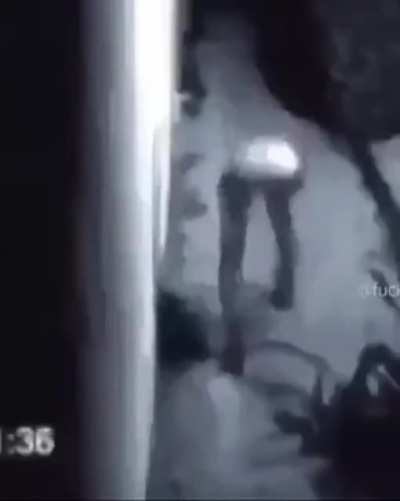 no legĄ