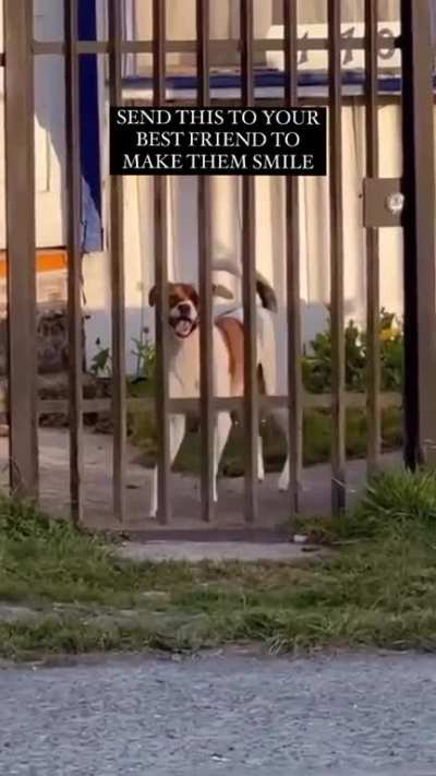 Goodest boys