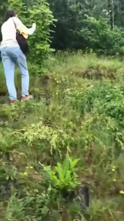 "Yeah, I guess I'll check this random sound coming from the forest, quick get the camera"