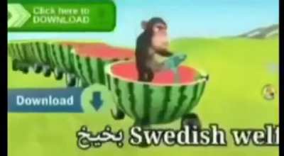 Monke McMelon