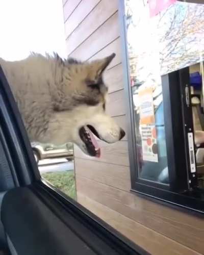 Sir, this is a Wendy&rsquo;s.