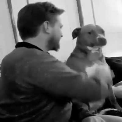 haha dog go bonk