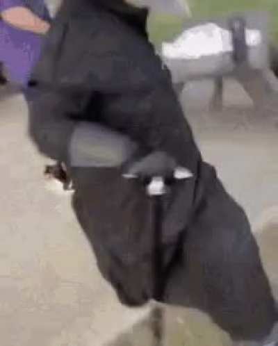 Petition for plague doctors in world box.
