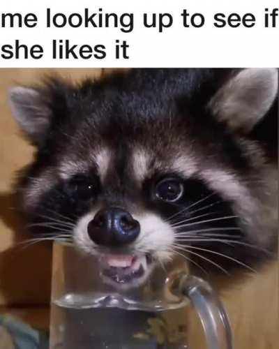 &Ntilde;om &ntilde;om