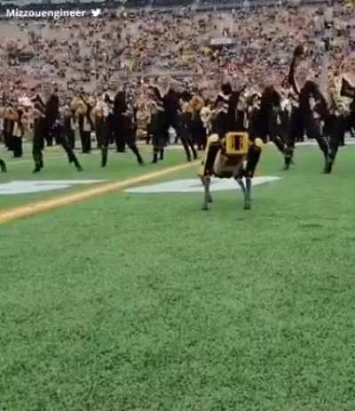 boston dynamics