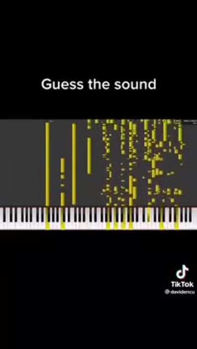 Guess