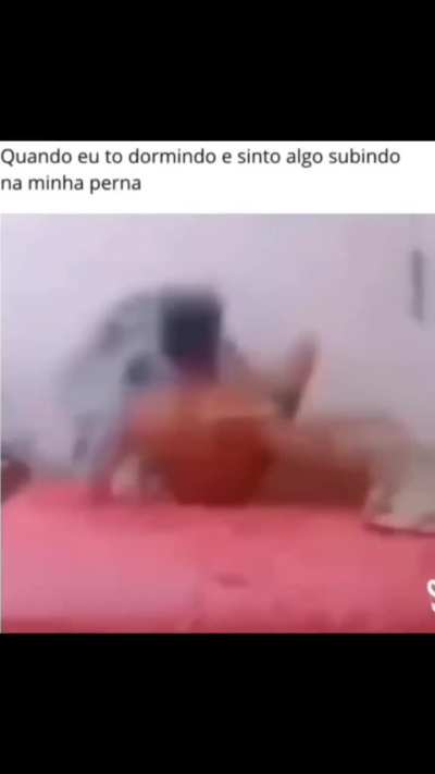 Eu_nvr