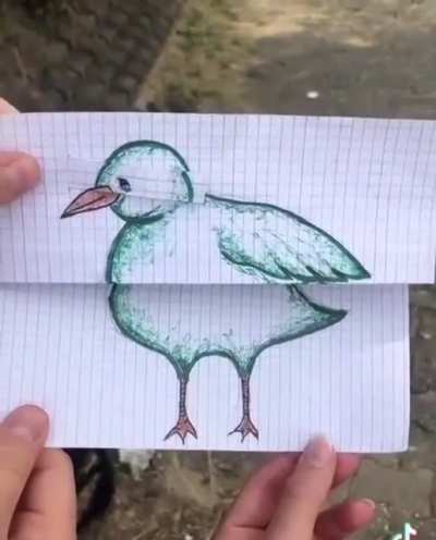 A Boring Old Regular Duck Drawing