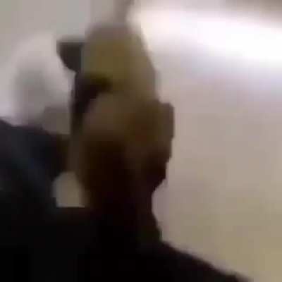 &ntilde;
