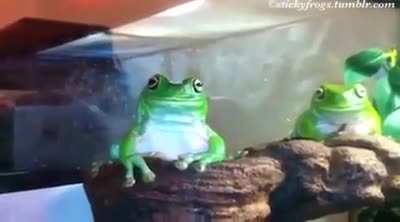 me irl