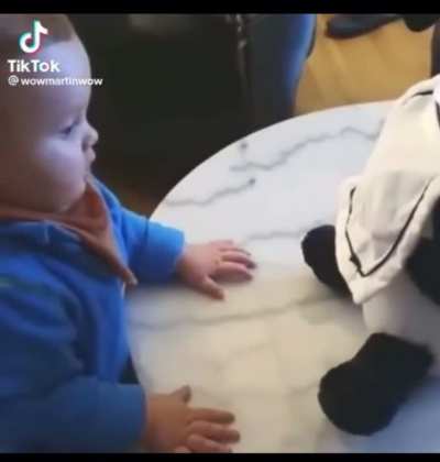 Fun fact: babies don&rsquo;t have object permanence