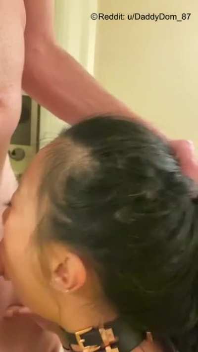 A little leash + throat training for my submissive and obedient Asian wifey. Isn&rsquo;t she a good girl 😇? [OC]