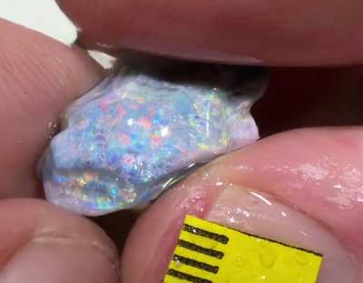 This opal thinks it&rsquo;s a porn star
