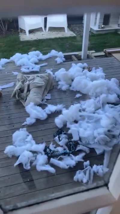 Somebody's gonna get their ass kicked