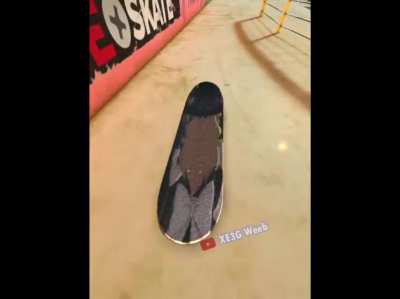 marisad skateboard
