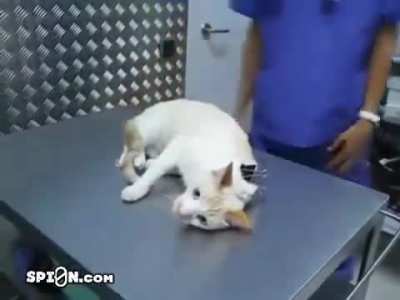 Wunk deactivated