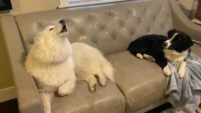 She sings, he&rsquo;s not impressed.