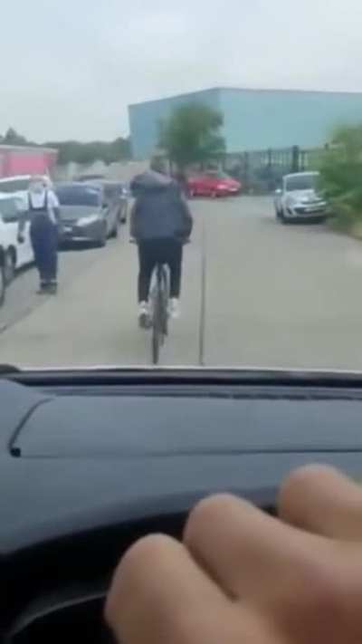 dumbo having arguments in the middle of the road