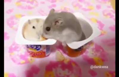 It's my crumble &amp;gt;_&amp;lt;