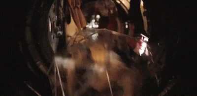 This is my new favorite gif😭