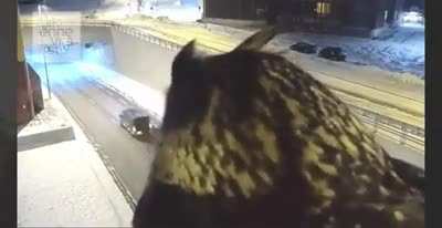 The Traffic Report