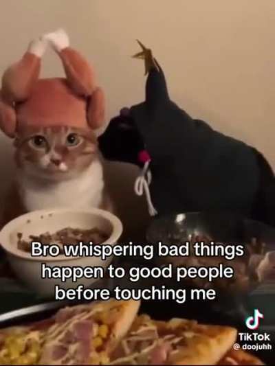 Tis but a scratch