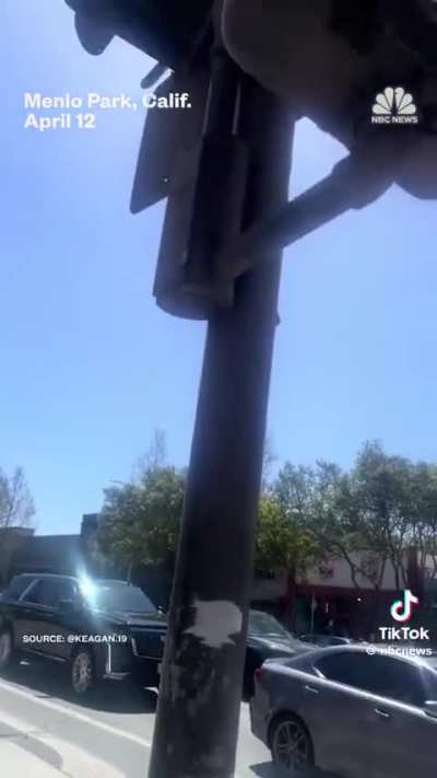 Californias crosswalk buttons got hacked and it&lsquo;s brilliant