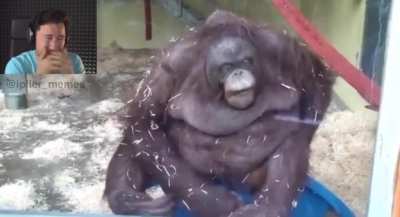Monke