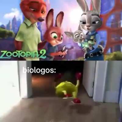 NO