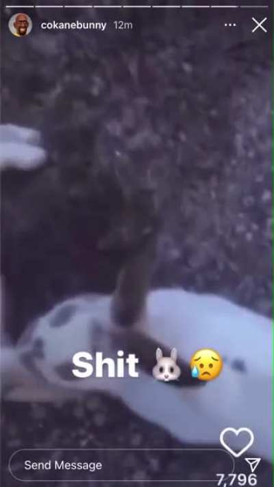 Ride or die shit 😭