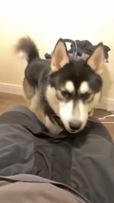 What&rsquo;s this? Takes bite 🤣