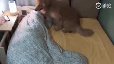 Doesn&rsquo;t matter how big the bed is, the problem will be the same.