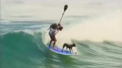 Surfing with my dawgs