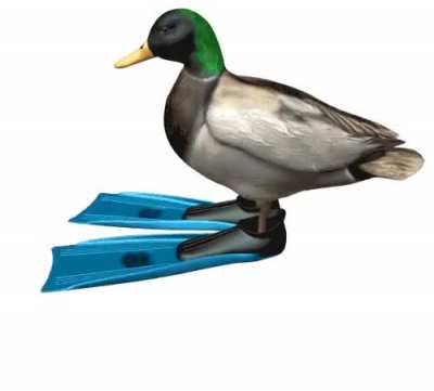 R O T A T E D U C K