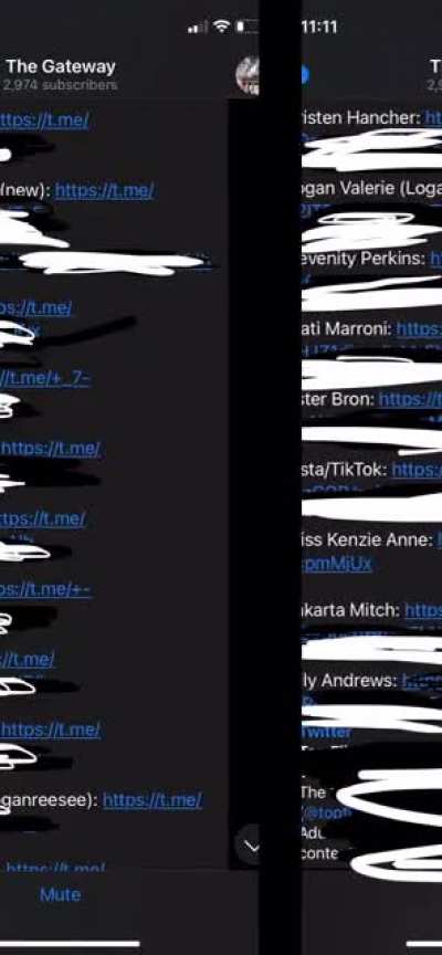 GET ALL THESE TELES🔥🔥+ more for $15‼️<wbr>‼️DM ME FOR VOUCHES AND PROOF‼️