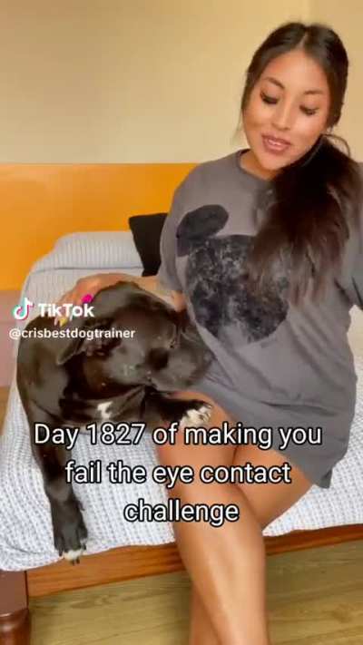 @crisbestdogtrainer