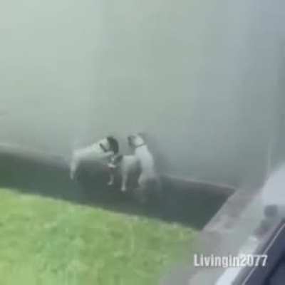 Exclusive Video of ESPN Broadcasters Talking about Yadier Molina