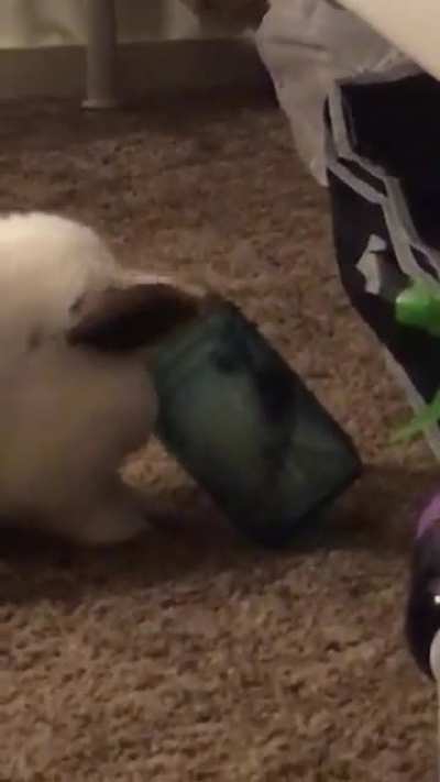 He really loves apple juice 🧃