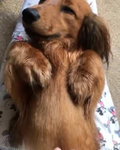 Grooming Time After Bath