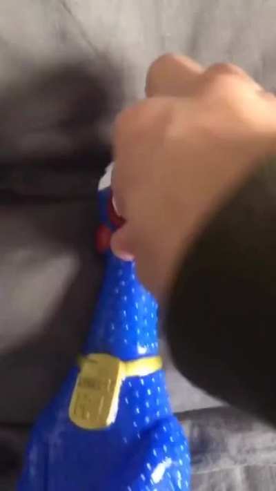Blue plastic chicken