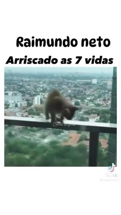 Raimundo neto