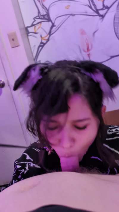 my happy place is a leash on my neck and a cock in my mouth :3