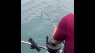 A big fish