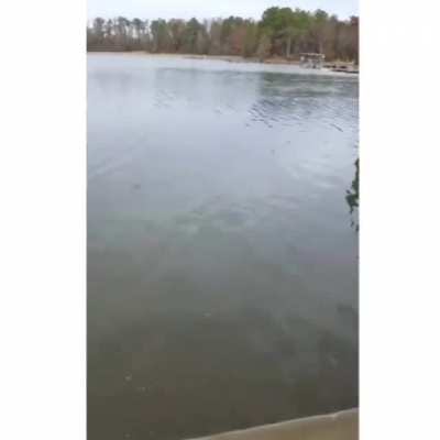 That&rsquo;s a nice fish but his wife is the real catch