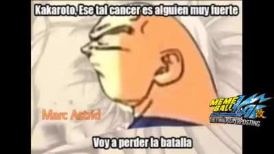 Vegeta Le gan&oacute; al c&aacute;ncer.